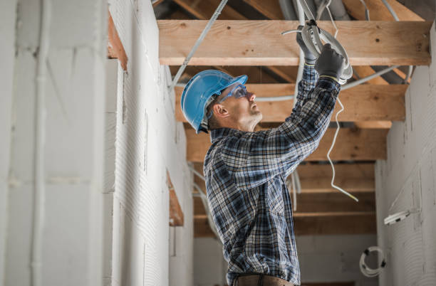 Best Home Electrical Repair  in Lansing, IL